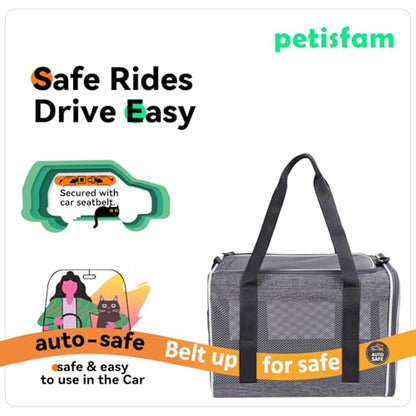 Soft Pet Carrier Bag for Cats and Puppy Under 20 lbs. Sturdy, Safe, Comfortable and Lightweight - color: Grey
