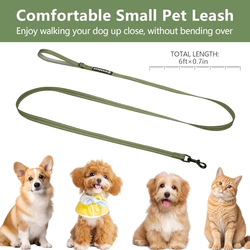 Reflective 6 FT Dog Leash, Premium Traditional Style Puppy Leash with Easy to Use Collar Hook for Small, Medium, and Large Breed Puppies (Green, 3/4 in x 6 ft) - color: Green, size: 3/4" x 6ft, 1 Handle