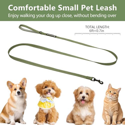 Reflective 6 FT Dog Leash, Premium Traditional Style Puppy Leash with Easy to Use Collar Hook for Small, Medium, and Large Breed Puppies (Green, 3/4 in x 6 ft) - color: Green, size: 3/4" x 6ft, 1 Handle