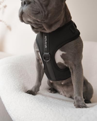Premium No-Pull Dog Harness Soft Neoprene & Breathable Mesh Vest with Front & Back Clip D-Rings Adjustable Lightweight Walking Harness for Puppies, Small & Medium Dogs (Black, S) - color: Black, size: S: Neck=13.8-17.3''/Chest=16.1-21.3''