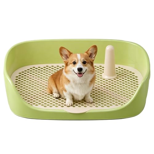Dog Toilet Training Potty Tray, Reusable Training Pad Holder Pet Bedpan, Indoor Puppy Potty Trainer for Small Dogs Puppies and Small Animals 15.75''LX11.81''WX4.33''H (Green) - color: Green
