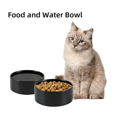 Havniva 5.1” Ceramic Dog Bowls, Small Dog Food and Water Bowl Set of 2, Durable Dog Water Bowl with Non-Slip Rubber Base Large Capacity Pet Feeding Bowl for Small Dogs - color: Matte Black, size: 5.1 Inch