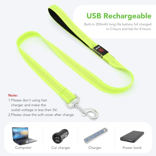 Colaseeme LED Light Up Dog Leash, USB Rechargeable (4FT,Green-New) | Glow in dark, reflective, USB-C rechargeable, bright LED for night safety, fits small to large dogs - color: Green (New), size: 4FT