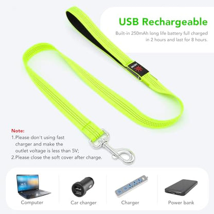Colaseeme LED Light Up Dog Leash, USB Rechargeable (4FT,Green-New) | Glow in dark, reflective, USB-C rechargeable, bright LED for night safety, fits small to large dogs - color: Green (New), size: 4FT