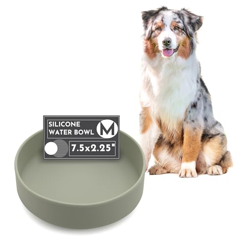 Should We Go? Dog Water Bowl - The Perfect Dish No-Spill, Less Mess Non-Tippable Water & Food Bowl, Pure Silicone with Suction Cup Fits 5 Cups 7.5" Across x 2.25" Tall, Ideal for All Pets, Medium-Sage - color: Sage, size: Medium (7.5” Across x 2.25” Tall)