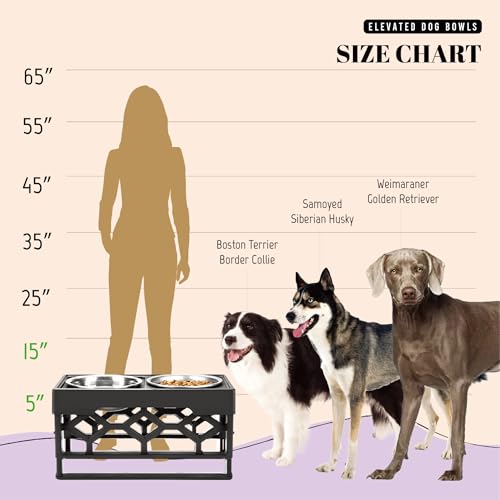 AVERYDAY Elevated Dog Bowls, 4 Height Adjustable Stand for Medium and Large Dogs, Raised Dog Feeder Holder with 2 Stainless Steel Food and Water Bowls, Anti-Slip Base Tall Feeding Station - color: Black stand + 2 food bowls, size: Large