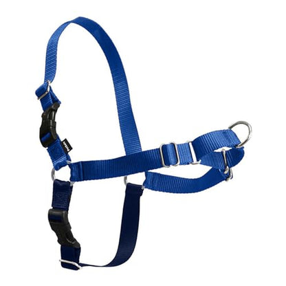 PetSafe Easy Walk No-Pull Dog Harness - Ultimate Harness to Help Stop Pulling - Pull-Free Walks - Take Control & Teach Better Leash Manners - Patented Martingale Loop Design - Royal Blue, Small/Medium - color: Royal Blue/Navy Blue, size: Small/Medium
