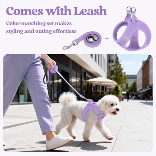 rabbitgoo Dog Harness Small Sized and Leash Set, Step in Soft Light Puppy Vest, Breathable Mesh Pet Harness, Reflective for Safe Easy Walking, Light Purple XXXS - color: Light Purple, size: Xxxs (chest: 10.8 - 11.8")