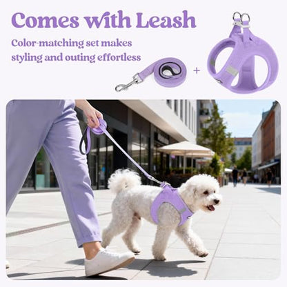 rabbitgoo Dog Harness Small Sized and Leash Set, Step in Soft Light Puppy Vest, Breathable Mesh Pet Harness, Reflective for Safe Easy Walking, Light Purple XXXS - color: Light Purple, size: Xxxs (chest: 10.8 - 11.8")