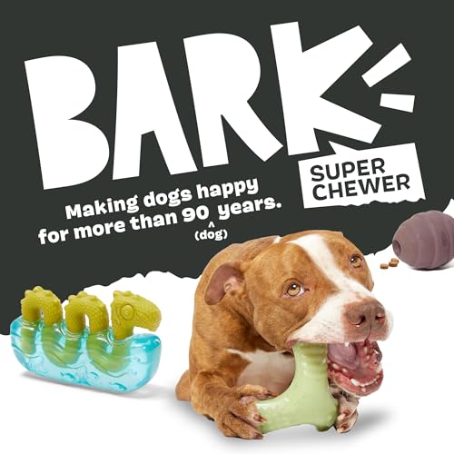 Barkbox Sven The Hedgie Super Chewer Dog Toy | Natural Rubber, Wacky Bounce & Rippled Texture | Durable Dog Toy for Aggressive Chewers, Medium to Large Dogs - color: Hedgehog