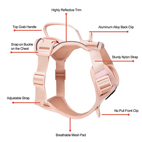 Petmolico Dog Harness for Small Dogs, Cute Harness Vest with Two Leash Clips and Soft Handle, Reflective Easy Walk Puppy Vest - Pink, Small - color: Pink, size: Small