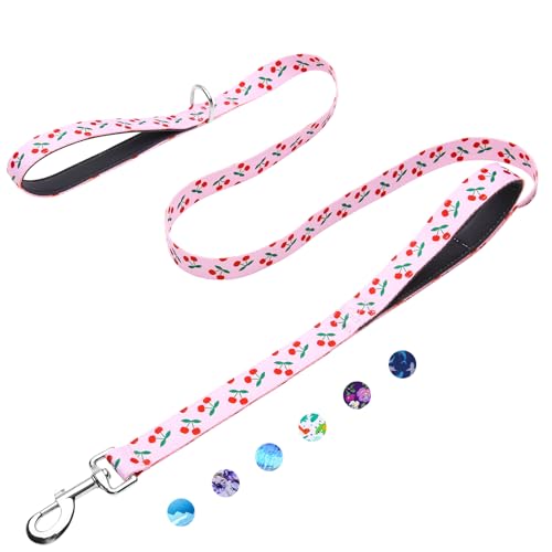 4ft Dog Leash with Two Padded Handles, Heavy Duty Strong Nylon Pet Leash with Soft Neoprene Handle for Small Medium Large Dogs, Cherry - color: Cherry, size: 1 in x 4 ft