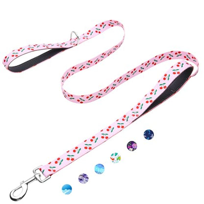 6ft Dog Leash with Two Padded Handles, Heavy Duty Strong Nylon Pet Leash with Soft Neoprene Handle for Small Medium Large Dogs, Cherry - color: Cherry, size: 1 in x 6 ft