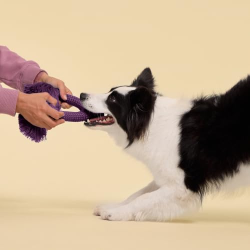 Playology Dog Toys | Dri-Tech Rope Tug of War Dog Toy for Tough Chewers | Bacon Scented Jumbo Tug Rope Toys for Large Dogs - size: Jumbo, style: Bacon
