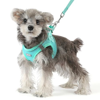 Dog Harness Small Sized and Leash Set, Step in Soft Light Puppy Vest, Breathable Mesh Pet Harness, Reflective for Safe Easy Walking. - color: Blue, size: Small (Pack of 1)