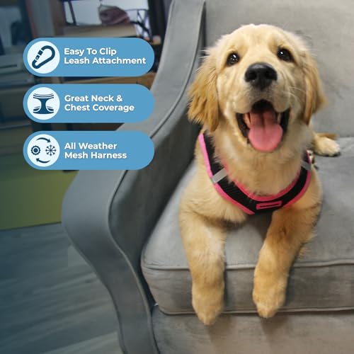 Best Pet Supplies - All Weather Mesh/Plush, Reflective, No Pull Harness for Small, Medium Dogs, Cats - Secure with Hook & Loop Fastener, Buckle, Double D-Rings - Black/Pink Trim, L - color: Harness (Black/Pink Trim), size: L (Chest: 18 - 20.5")