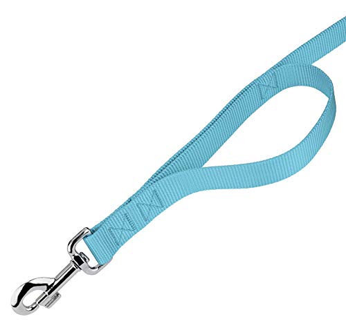 Country Brook Petz - Vibrant 17 Color Selection - Heavyduty Doublehandle Nylon Leash (6 Foot, 3/4 Inch Wide, Ocean Blue) - color: Ocean Blue