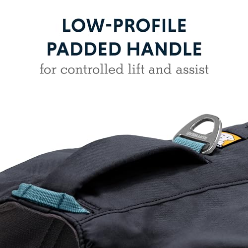 Ruffwear, Front Range Day Pack, Dog Backpack with Saddlebags, 5-Point Adjustment, 3 Leash Points, Padded Handle, Internal Mesh Pockets, Reflective Trim, Light Loop, Basalt Gray, Large/X-Large - color: Basalt Gray, size: Large/X-Large