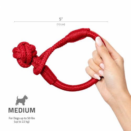 Playology Dog Toys | Tough Tug Knot for Puppies and Young Dogs | Beef Scented Medium Chew Toy Tug Rope | Tug of War Puppy Essentials - size: Medium, style: Beef