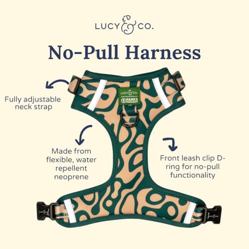 Lucy & Co. x Parks Project Geyser No-Pull Dog Harness, Adjustable Front Clip Harness with Comfort Padding, X-Large - color: Geyser, size: X-Large