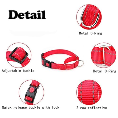 Martingale Collar for Dogs with Buckle,Light Blue S - color: Light Blue, size: S(Neck 10-13.5")