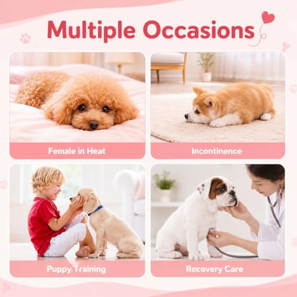 Disposable Female Dog Diapers for Waist 16–21 in, Leakproof, Super Absorbent, Soft Breathable Lining, for Dogs in Heat or Incontinence, 10 Count, L - size: Female 10ct Waist 16~21in(L)