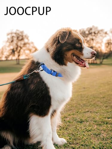 Martingale Dog Collar, Reflective No Pull Training Collar with Quick Release Buckle, Adjustable Heavy Duty Nylon Choker Collars for S M L Dogs (Blue, M (1" x 15.5"-19.5")) - color: Blue, size: M (1" x 15.5"-19.5")