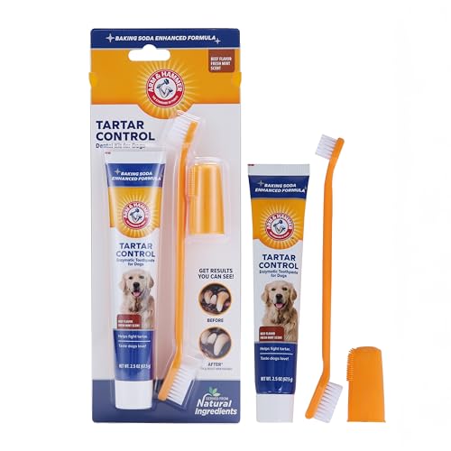 Arm & Hammer for Pets Tartar Control Dog Dental Kit, Enzymatic Toothpaste with Toothbrush and Fingerbrush, Baking Soda Formula Reduces Plaque and Tartar, Safe for Puppies, Beef Flavor, 3-Piece - size: 2.5 Ounce (Pack of 1)