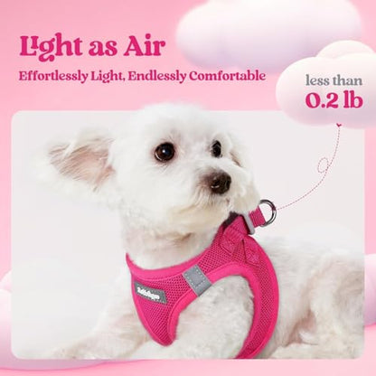 rabbitgoo Dog Harness Small Sized and Leash Set, Step in Soft Light Puppy Vest, Breathable Mesh Pet Harness, Reflective for Safe Easy Walking, Rosa Red XXXS - color: Rose Red, size: Xxxs (chest: 10.8 - 11.8")