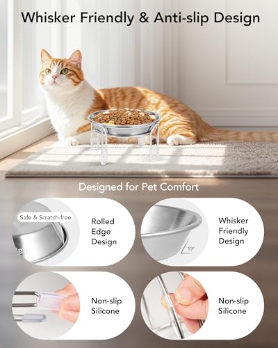 Elevated cat Bowl, 6.3" Wide Raised Stainless Steel Cat Food and Water Dishes, Small Dog Bowl, Whisker Friendly, Anti-Vomiting, Neck Stress-Free, Non-Slip Stainless Steel Stand with 4 Legs- 2Pack - color: 2PC