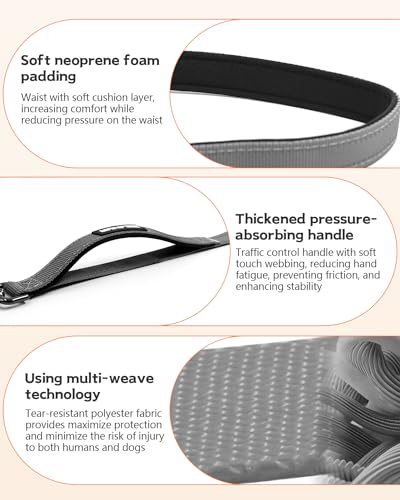 Hands Free Dog Leash with Seatbelt, 9.5 FT Adjustable Handheld/Crossbody/Waist Leash for Dog Walking, Reflective, 360° Tangle-Free, Shock Absorbing for Medium & Large Dogs. - color: Grey