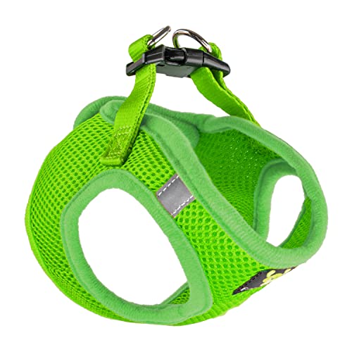 EcoBark Teacup Dog Harness - Luxury Soft Step in Dog Harness - Teacup Harnesses for Puppy & Tiny Dogs- Reflective Mini Body Halter Vest Under 5 lbs (Green, XXXS) - color: Green, size: XXXS- 2 to 3 lbs- Chest up to 10 in (Pack of 1)