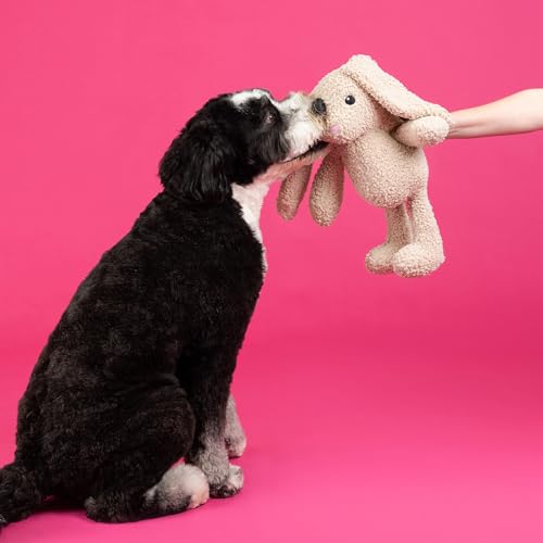 Fringe Studio Large Plush Dog Toy, Hoppy to See You, 19" Tall x 13" Wide, Pet Shop Collection (728034) - color: Hoppy To See You