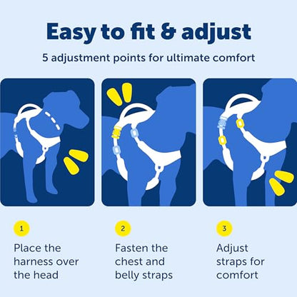 PetSafe Easy Walk Comfort No-Pull Dog Harness Full-Body Padding - Better Walks on the First Use - 5 Points of Adjustment X-Small, Green - color: Green, size: Extra Small