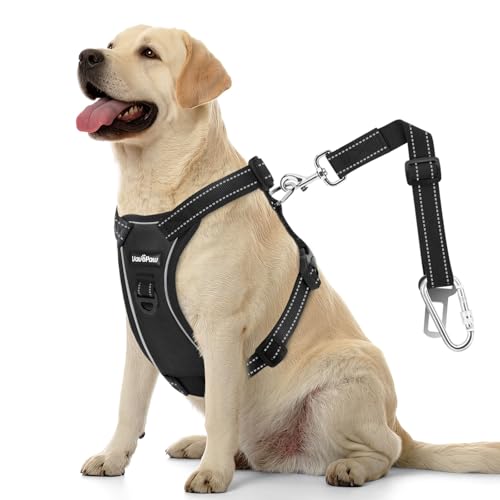 VavoPaw Dog Car Belt, Dog Harness Reflective Strip & Adjustable Buckle, Dogs Car Leash Seat Belts, Dogs Seats Belt Soft Padded & Breathable Mesh, Safety Pet Seat Belts Cars Tether, L, Carbon Black - color: Carbon Black, size: L (Chest: 22-32.3", Neck: 16.