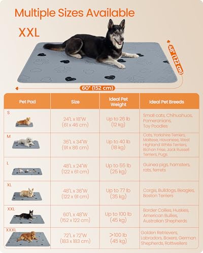 Feandrea Washable Dog Pee Pads, 2 Pack, Reusable Dog Pads, 60 x 48 Inches, XXL, Waterproof Pet Training Pads, Leakproof, Non-Slip, Super Absorbent, Gray UPTD048G01 - size: XXL (60"L x 48"W)