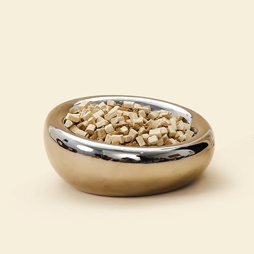 Pebble Pet Bowl Deep Chrome, Ergonomic Dog Cat Feeding Bowl, Flat-Faced Breed, Tilted Ceramic Pet Food Dish, Scooper Eater, Anti-Spill Design, Dishwasher Safe, Modern Pet Bowl, Dry & Wet Diet - color: Chrome