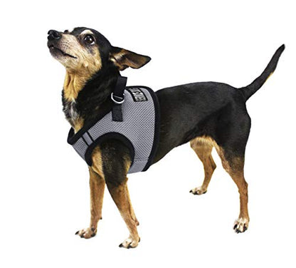 Dogline Boston Step in Mesh Dog Harness with Service Dog Patch No Choke Pet Vest Soft Gentle Padded Chest Halter for Puppies Small Medium and Large Dogs 14 to 16 inches Girth Grey - color: Grey, size: Girth 14 to 16"