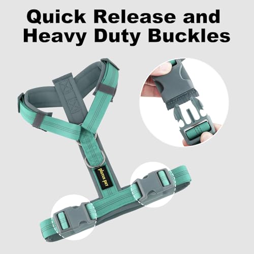 Plutus Pet No Pull Dog Harness, Adjustable Nylon Harness with Soft Padding, Reflective and Heavy Duty Dog Harness for Small, Medium, Large Dogs(Teal, S) - color: Teal, size: S