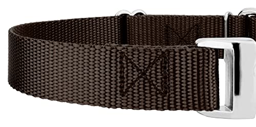 Country Brook Petz - Martingale Dog Collar - Heavy Duty Nylon Adjustable Martingale Dog Collar with Premium Buckle for Small Medium Large Breeds (5/8 Inch, Extra Small, Brown) - color: Brown, size: Extra Small (Pack of 1)