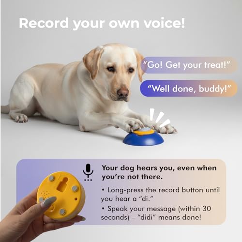 Interactive Dog Puzzle Feeder Toy, Automatic Dogs Treat Dispenser for IQ Training & Slow Feeder, Dog Food Dispenser with Remote Button, Suitable for Indoor or Outdoor Play, All Breeds, OtterVerz 11