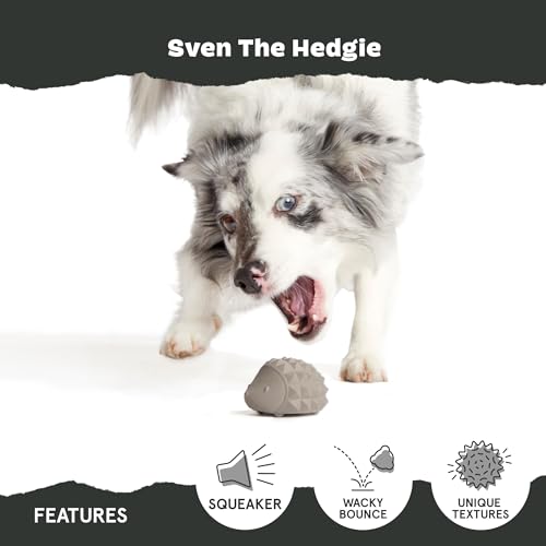 Barkbox Sven The Hedgie Super Chewer Dog Toy | Natural Rubber, Wacky Bounce & Rippled Texture | Durable Dog Toy for Aggressive Chewers, Medium to Large Dogs - color: Hedgehog