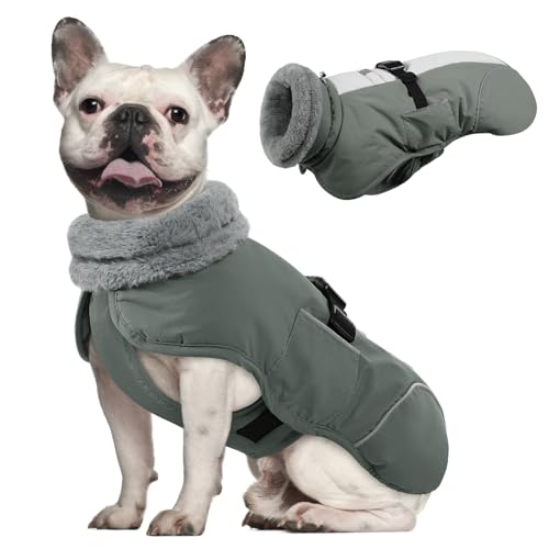 Queenmore Winter Dog Jacket - Warm Reflective, Waterproof Coat for Small Dogs, Grey, S - color: Grey, size: Small