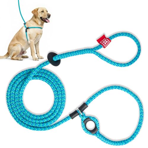 Harness Lead No Pull Dog Harness and Leash Set, Anti Pull Dog Harness for All Breeds and Sizes, One-Piece Cushioned Rope Design Safely Prevents Escaping and Pulling (Medium/Large, Blue/Multi) - color: Blue/Multi
