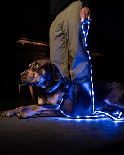 Luminoid LED Dog Leash | 6 ft | USB Rechargeable | 12 Multi-Color Animated Effects | Ultra-Bright LEDs Light-up Leash Keeps You & Dog Safe - by Glowy Zoey