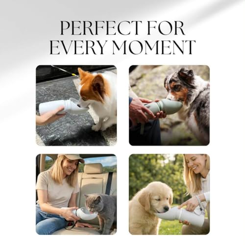 Dog Water Bottle 19oz (550ml), Leakproof Portable Dog Water Dispenser with Lock Button & Poop Bag Holder, BPA-Free Travel Water Bottle for Small, Medium & Large Dogs