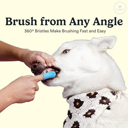 Jasper Dog Toothbrush, 360 Degree Pet Tooth Brushing Kit, Cat Toothbrush, Canine Dental Care & Teeth Cleaning Kit, Pet Finger Tooth Brush, Use with Dog Toothpaste, 16-Pack Blue - color: Blue (16pack)