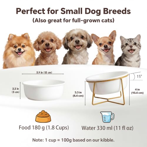 White Small Ceramic Tilted Elevated Cat Dog Bowl Raised Cat Food Water Bowl Dish Pet Comfort Feeding Bowls with Gold Iron Stand - color: White, size: Small