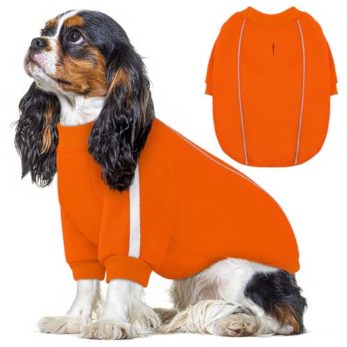 Queenmore Cozy Fleece Dog Sweater XS, Soft Pullover Dog Sweatshirt, Warm Winter Fleece Jacket with Leash Hole/Reflective Stripes for Small Medium Large Dogs Orange - color: Orange, size: X-Small