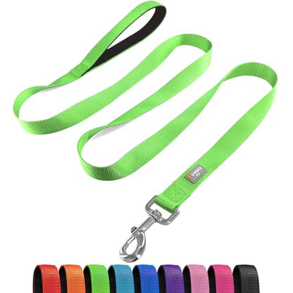 Basic Dog Leashes 6 FT Padded Handle Nylon Dogs Leashes for Small Dogs Green - color: Green, size: Small : 5/8" x 6 FT